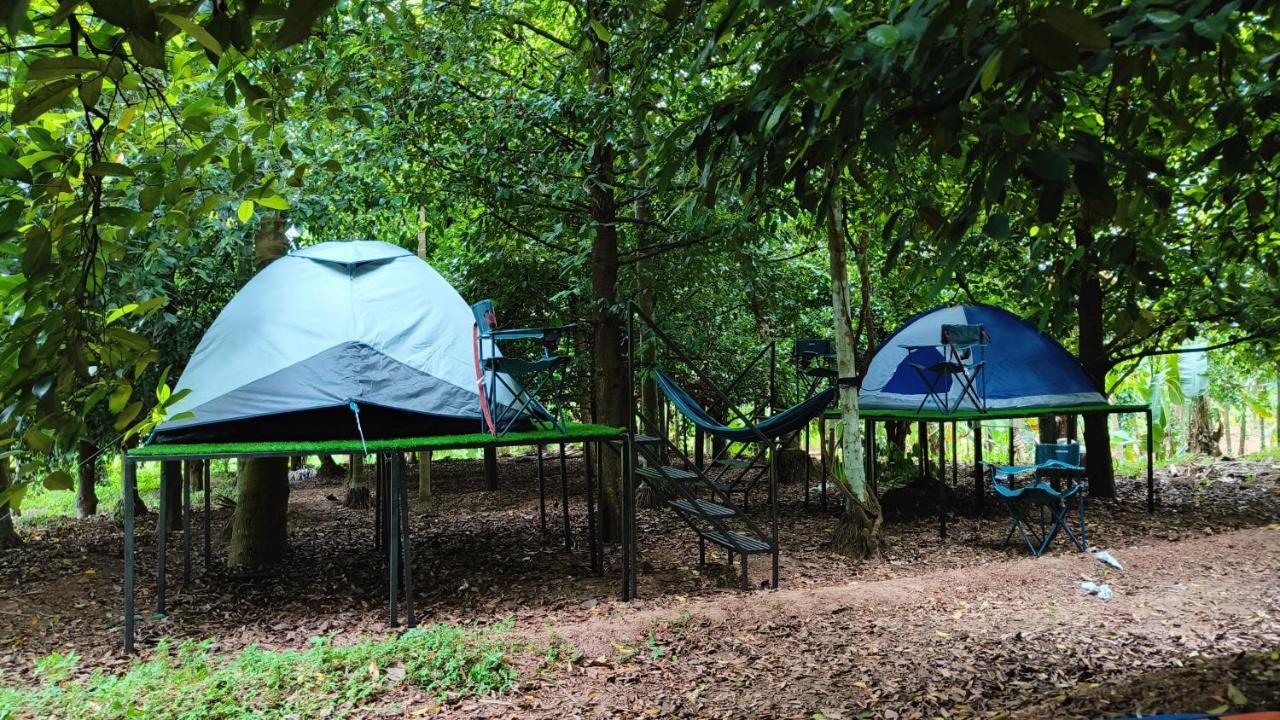 Dragster Tents Luxury tent Kizhake Chalakudi