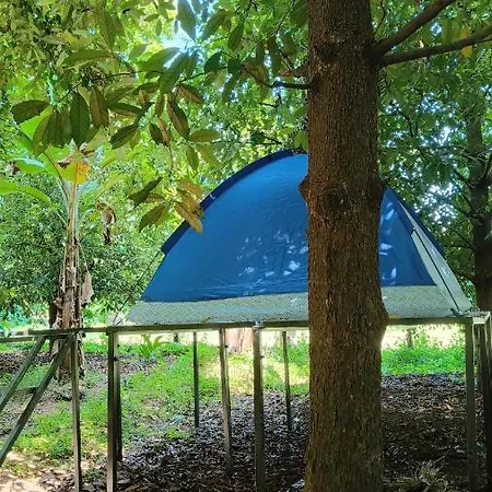 Dragster Tents Kizhake Chalakudi Exterior photo