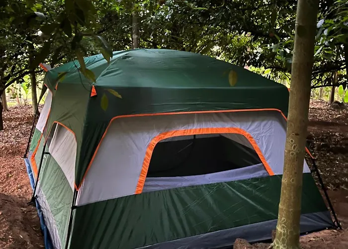 Dragster Tents