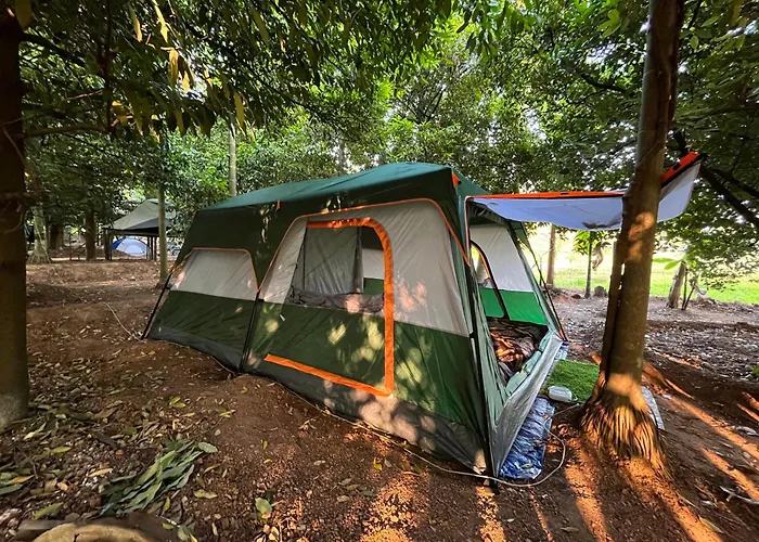 Dragster Tents