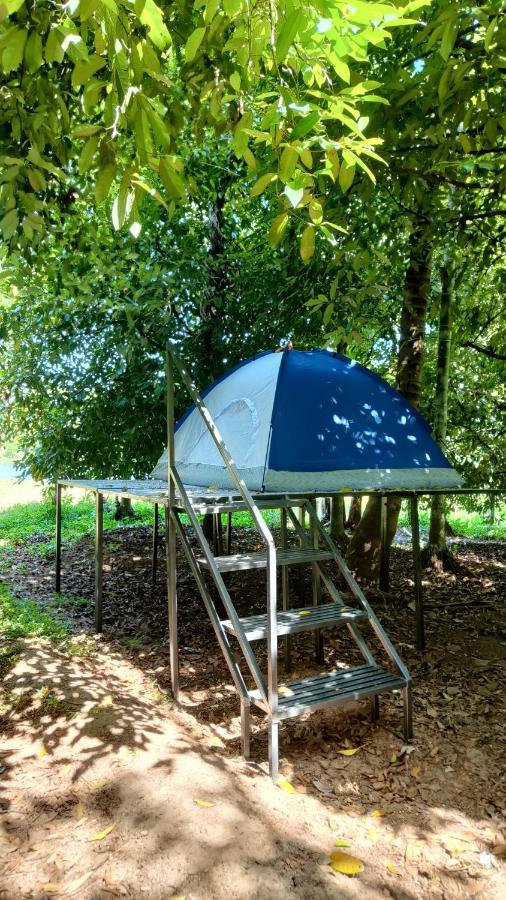 Dragster Tents