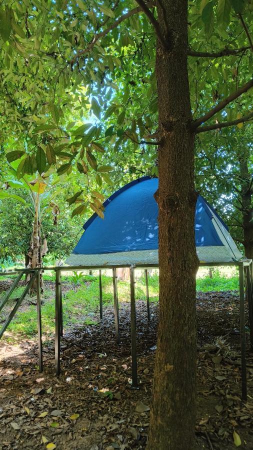 Dragster Tents Luxury tent