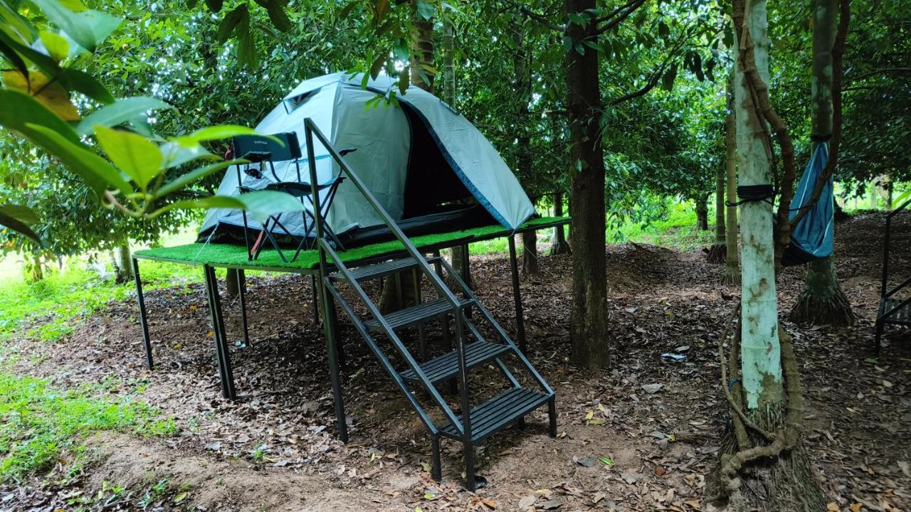 Luxury tent Dragster Tents *