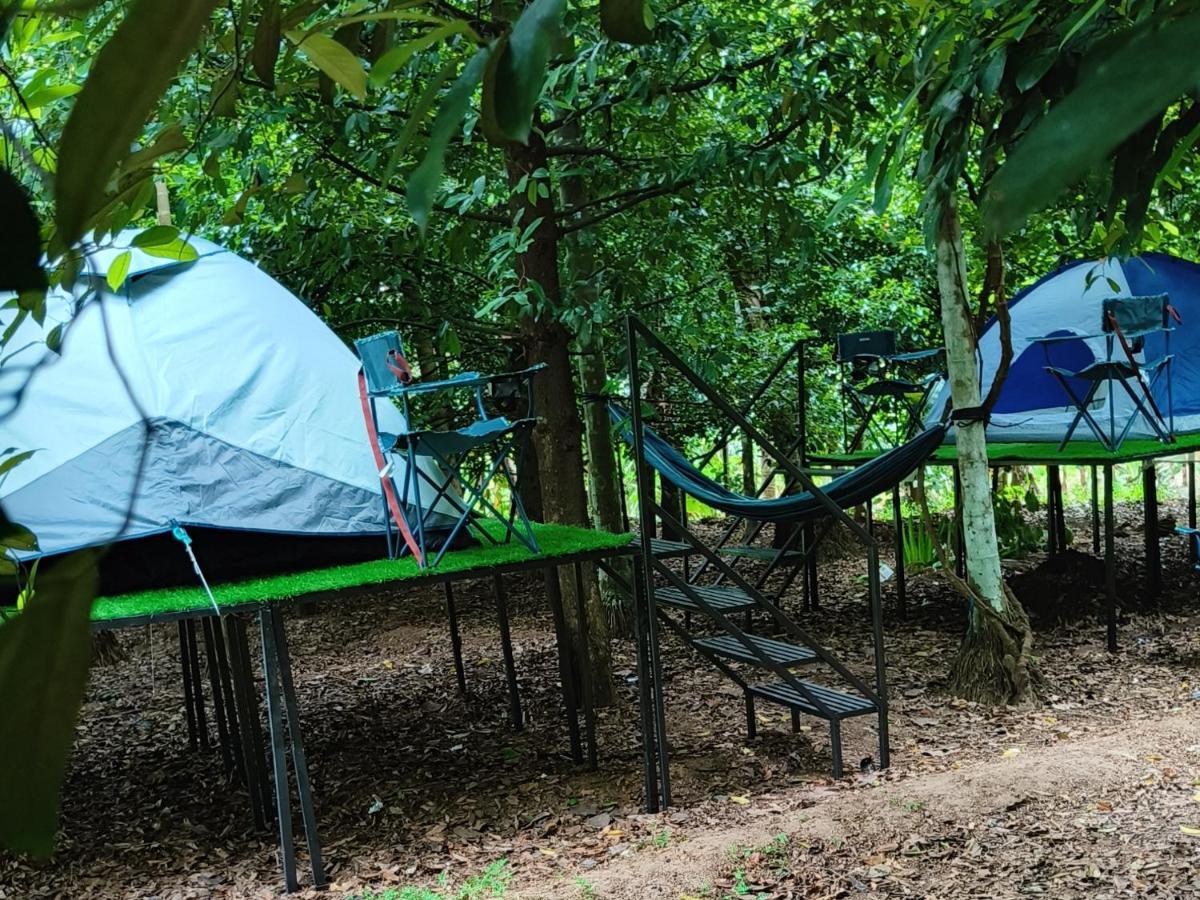Luxury tent Dragster Tents Kizhake Chalakudi