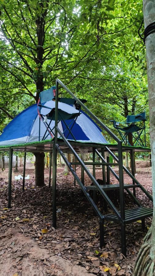 Dragster Tents