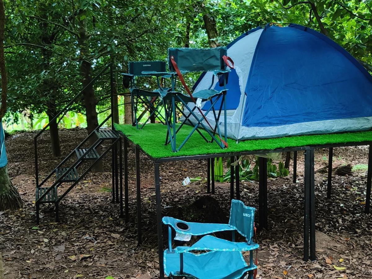 Luxury tent Dragster Tents