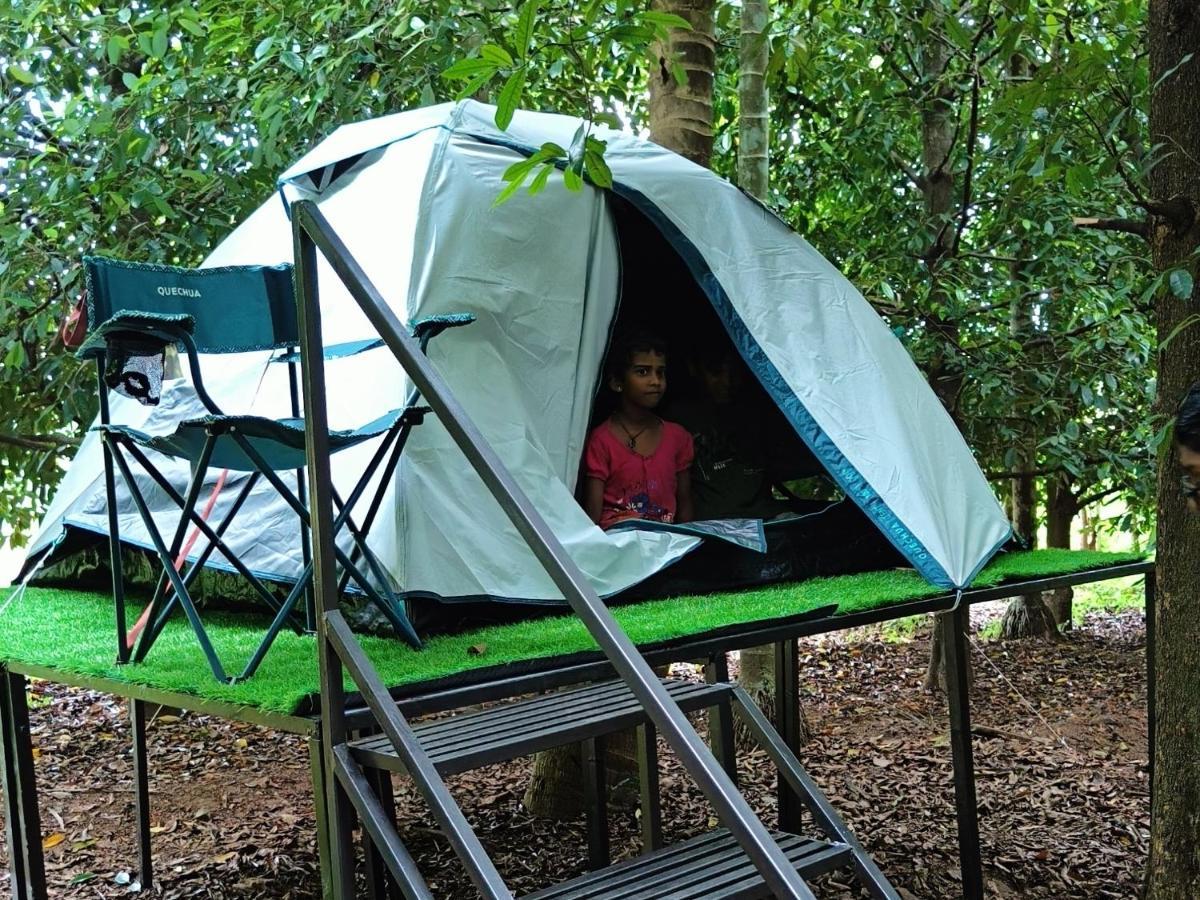 Dragster Tents Kizhake Chalakudi