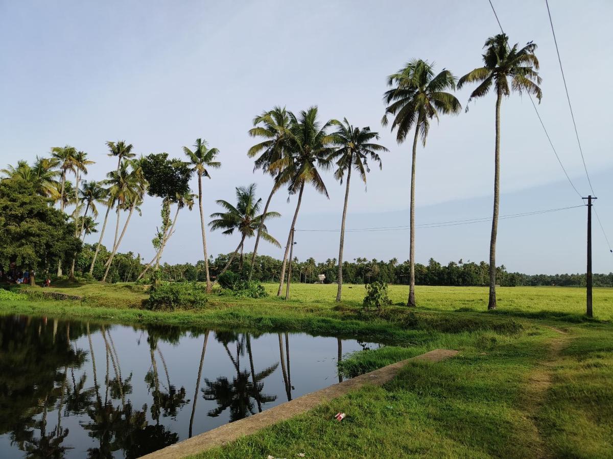 Dragster Tents Luxury tent Kizhake Chalakudi