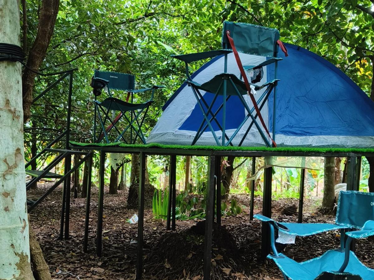 Dragster Tents Luxury tent *