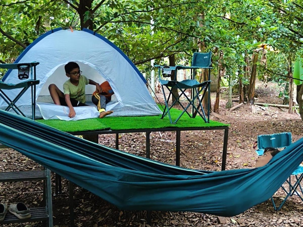 Dragster Tents * Kizhake Chalakudi