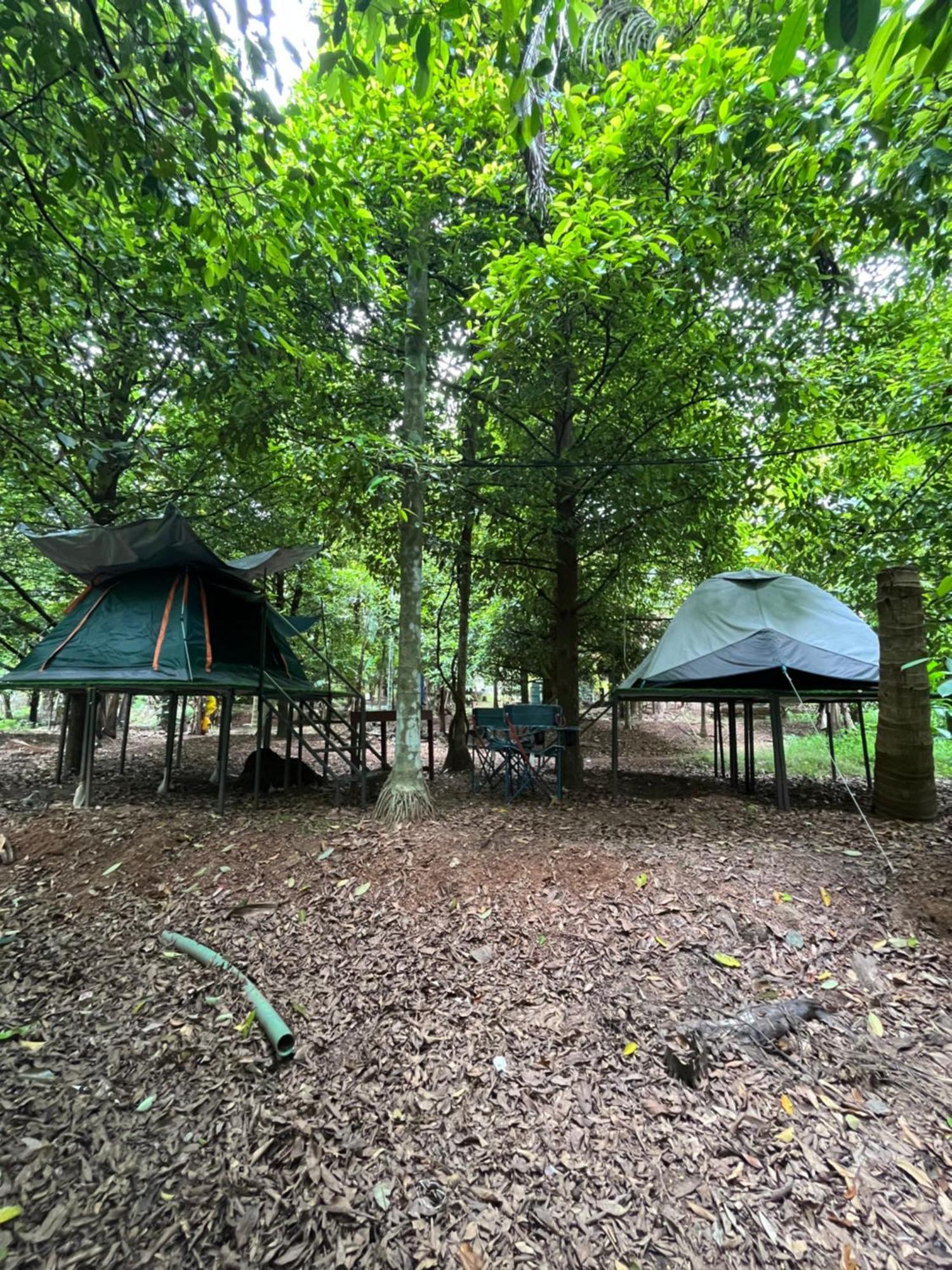 Dragster Tents Luxury tent