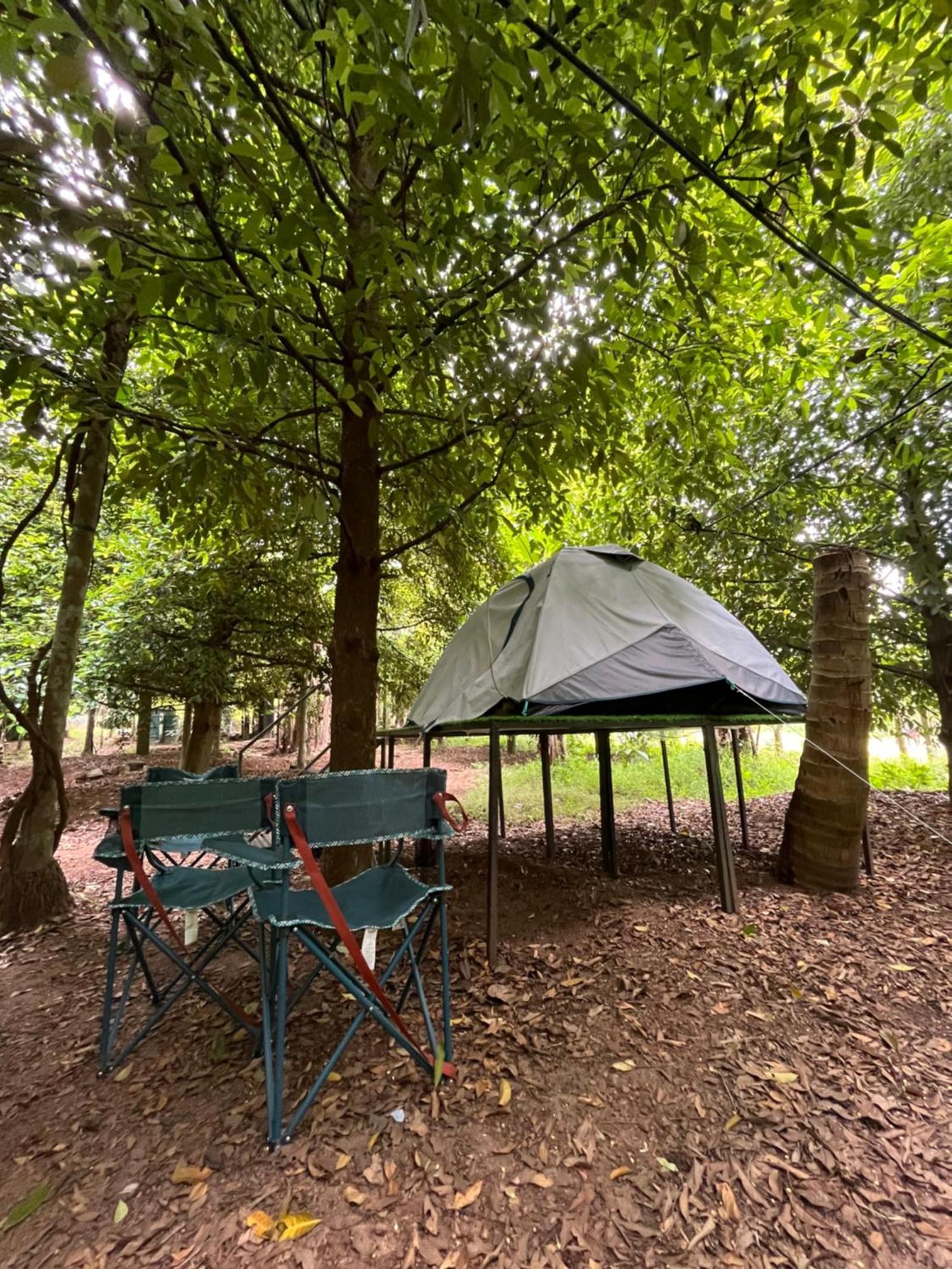 Dragster Tents