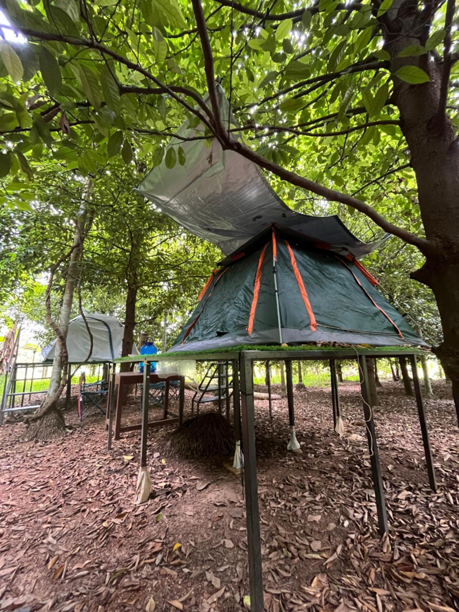 Dragster Tents Luxury tent *