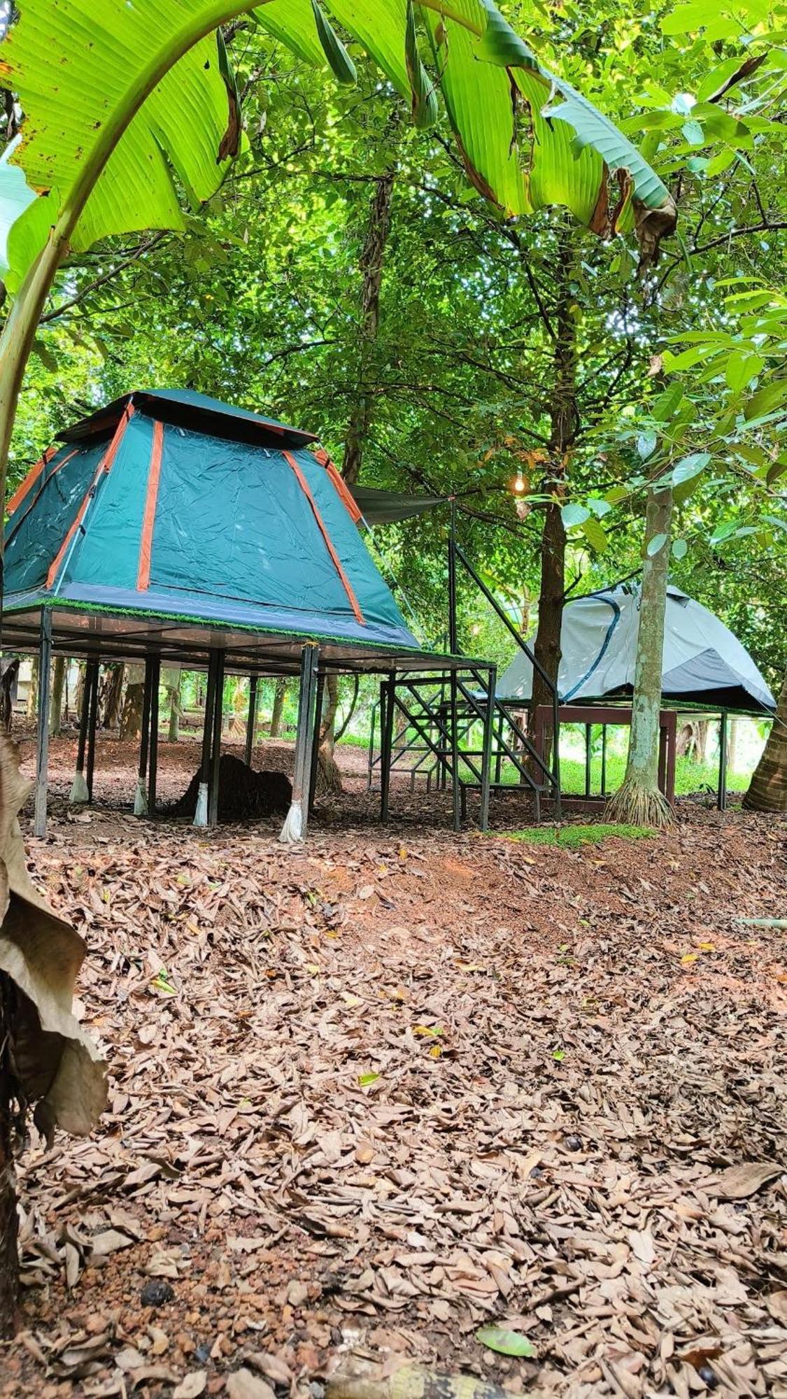 Dragster Tents *