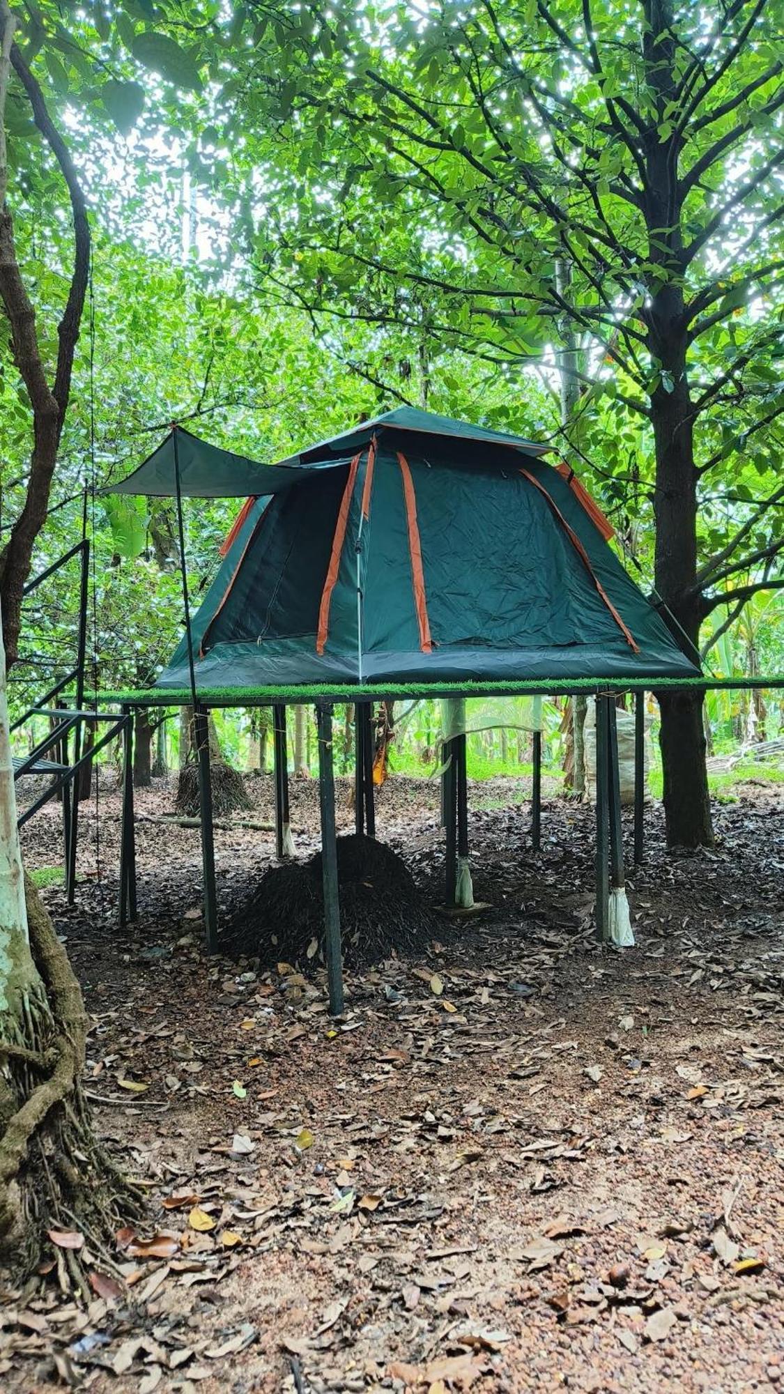 Luxury tent Dragster Tents
