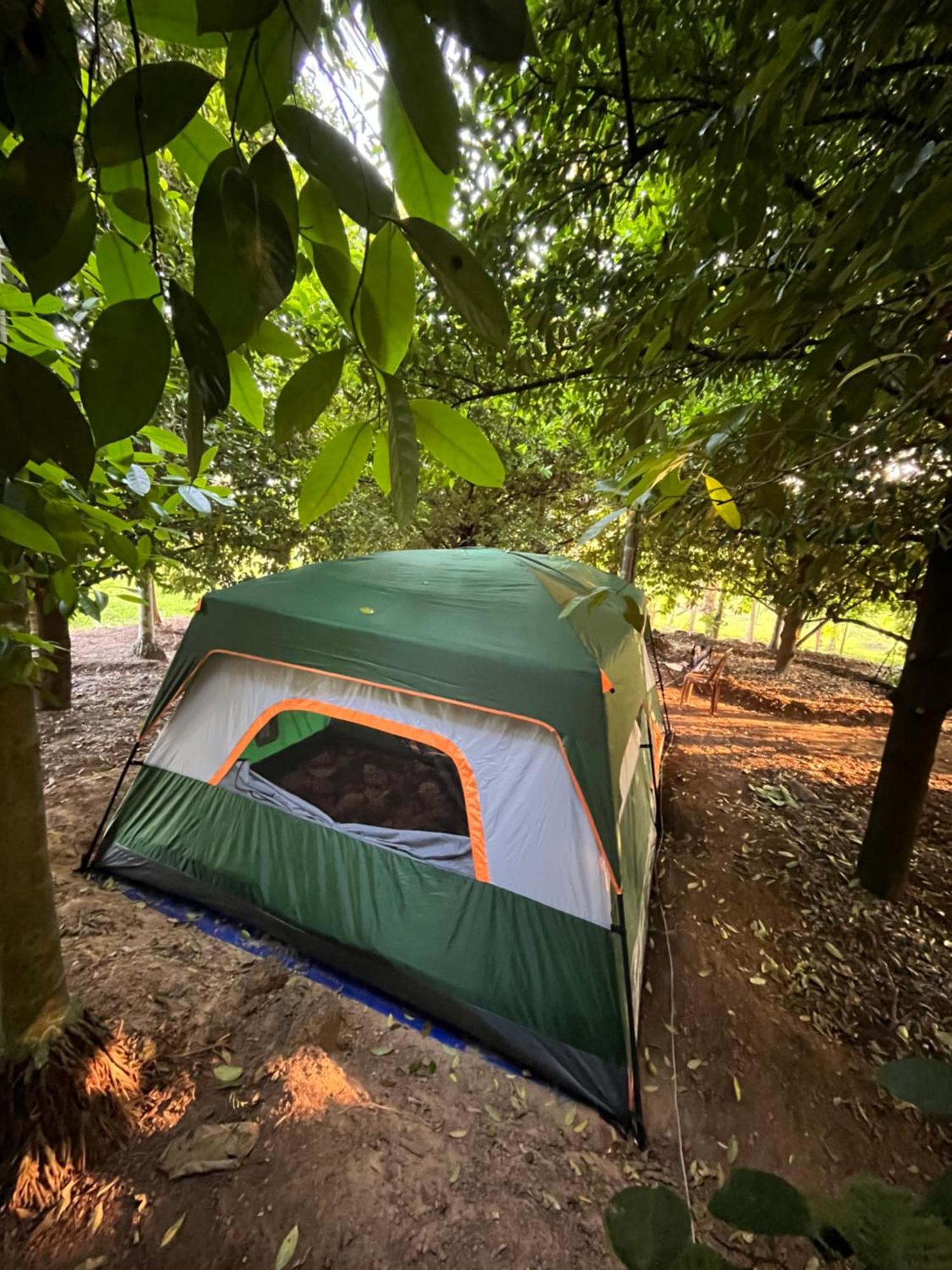 Dragster Tents Luxury tent Kizhake Chalakudi