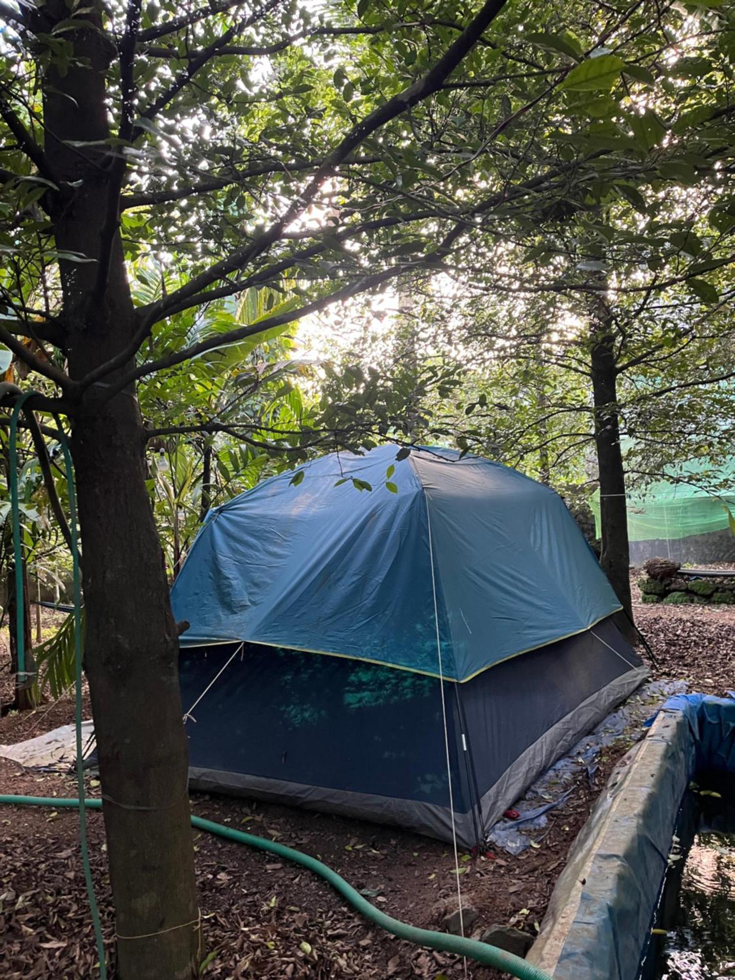 Dragster Tents * Kizhake Chalakudi