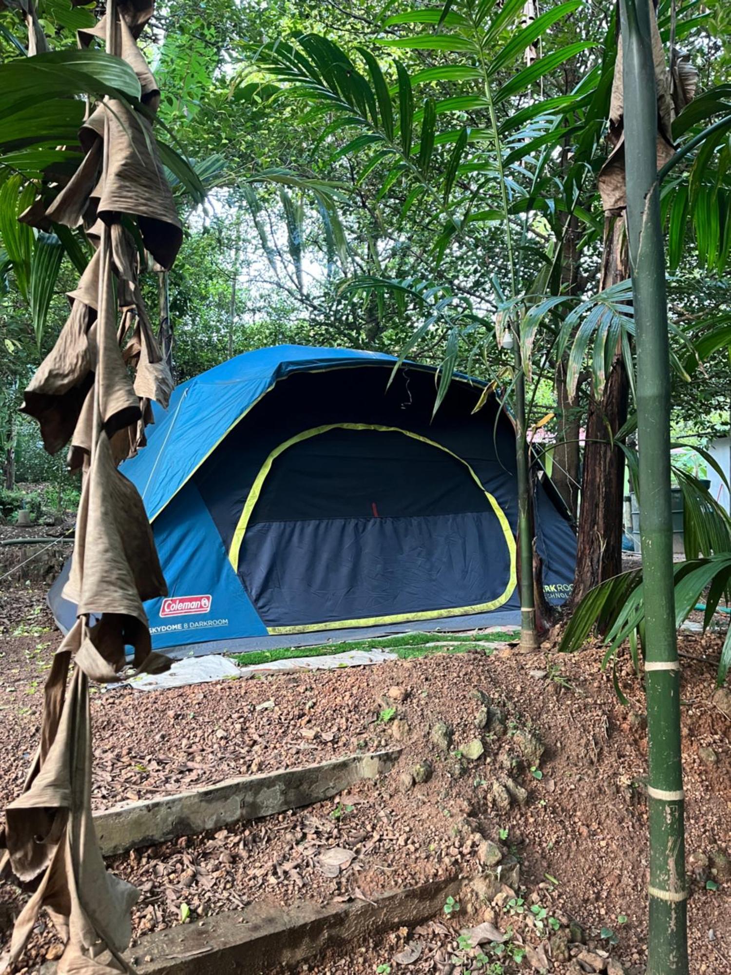 Dragster Tents