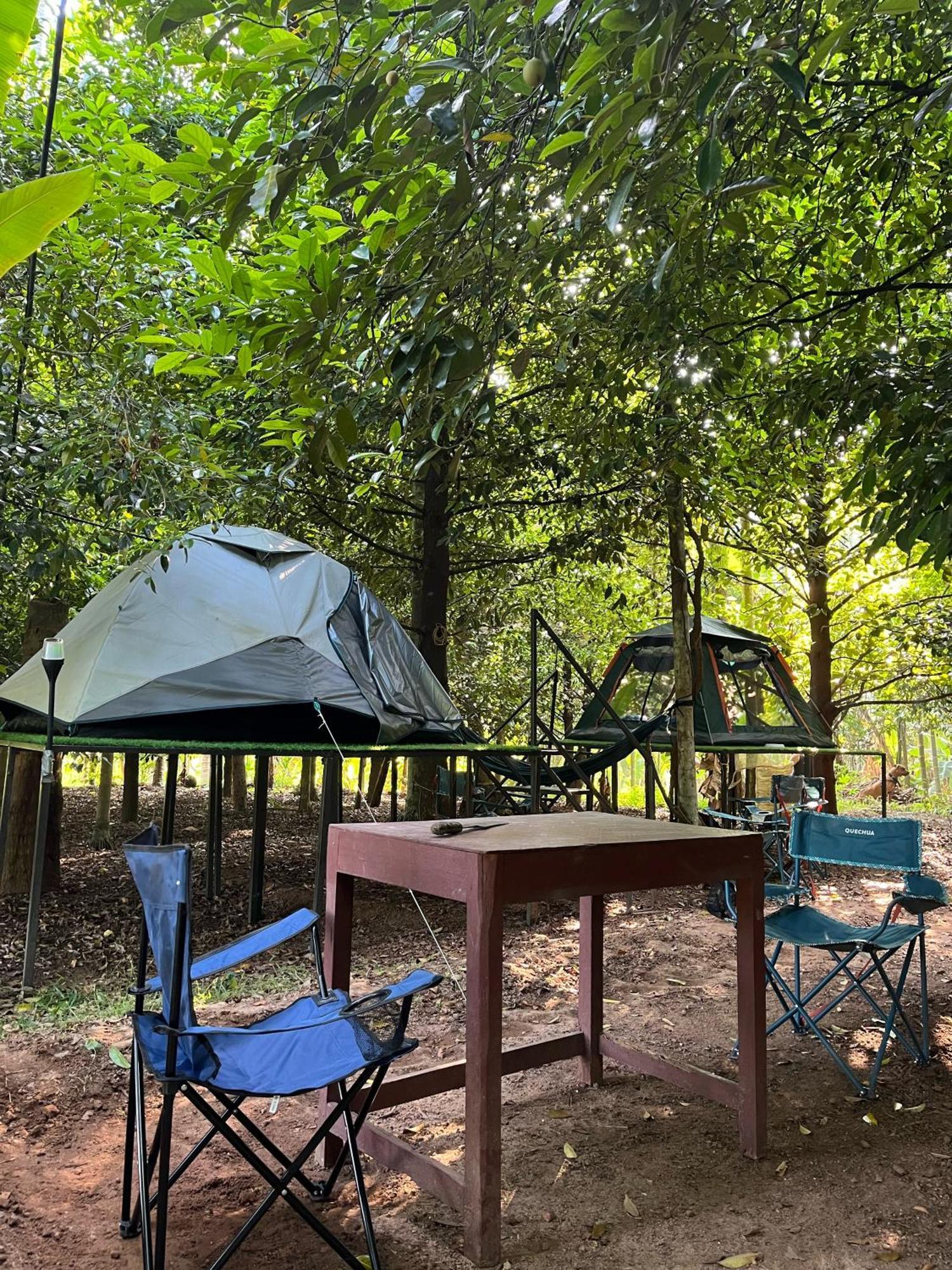 Luxury tent Dragster Tents